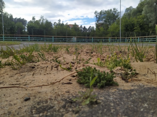 Стадион Авангард - 26.jpg